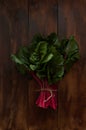 A bunch of green leaves of fresh swiss chard with red stalks Royalty Free Stock Photo