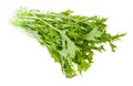 Bunch of green mizuna Japanese mustard greens