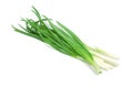 Bunch green onions Royalty Free Stock Photo