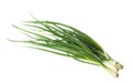 Bunch of green onions isolated without shadow clipping path