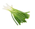 Bunch of green onions isolated without shadow clipping path Royalty Free Stock Photo