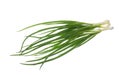 Bunch of green onions isolated without shadow clipping path Royalty Free Stock Photo