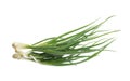 Bunch of green onions isolated without shadow clipping path Royalty Free Stock Photo
