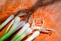 A bunch of green onions on a table close Royalty Free Stock Photo