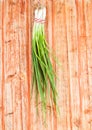 Bunch green onions Royalty Free Stock Photo