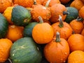 Bunch of green and orange pumpkins stocked up in a spacy container