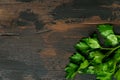 Bunch of green parsley, cilantro on wooden rustic table. Top view. Royalty Free Stock Photo