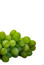 Bunch of Green Seedless Grape solated on white background Royalty Free Stock Photo