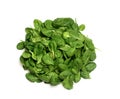 Bunch of fresh green spinach on white isolated Royalty Free Stock Photo