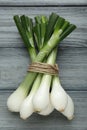 Bunch of green spring onions on grey wooden table, flat lay Royalty Free Stock Photo