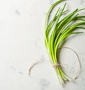 A bunch of green spring onions tied with a rope on a light stone background. Royalty Free Stock Photo