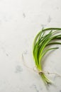 A bunch of green spring onions tied with a rope on a light stone background. Royalty Free Stock Photo