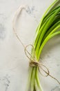 A bunch of green spring onions tied with a rope on a light stone background. Royalty Free Stock Photo