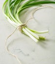 A bunch of green spring onions tied with a rope on a light stone background. Royalty Free Stock Photo