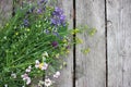 Bunch of green wild plants, blue and yellow flowers on a rough wooden board background. Midsummer flowers table decor. Royalty Free Stock Photo