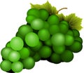 Bunch of green wine grapes with leaves