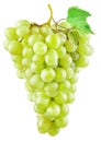 Bunch of green (yellow) grapes with a grape leaf isolated on a white background. There is a clipping path Royalty Free Stock Photo