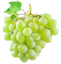 Bunch of green (yellow) grapes with a grape leaf isolated on a white background. There is a clipping path Royalty Free Stock Photo