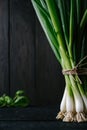 Bunch of green young scallions with roots on a black dark background of the old wooden boards vintage to Royalty Free Stock Photo