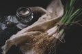 Bunch of green young scallions with roots and salt on a black dark background of the old wooden boards vintage top view, agricultu Royalty Free Stock Photo