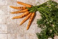 Bunch of grilled carrot roots with green leaves and salt flakes on stone tales of earth tones top view