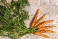 Bunch of grilled carrot roots with green leaves and salt flakes on stone tales of earth tones top view. Healthy eating and dieting