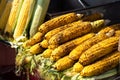 Bunch of grilled corn on the counter of street food cart