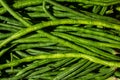 BUNCH GROUP OF GREEN ASPARAGUS SNAKE YARD LONG BEANS