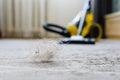 A bunch of hair and debris is on the carpet after vacuuming the room