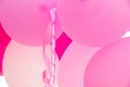 Bunch of hanging pink air balloons, curled ribbon, birthday party, baby shower decoration, valentine, romantic concept