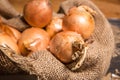 Yellow onions in rustic sack