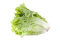 Bunch Head of Fresh Green Salad Isolated Royalty Free Stock Photo