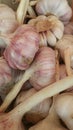 Bunch of heads of fresh garlic, seasoning and spices