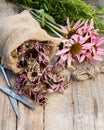 bunch of healing coneflowers, estragon and sack with dried echinacea flowers on wooden plank, herbal medicine