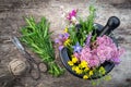 Bunch of healing herbs, mortar and pestle, vintage scissors.