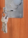 Bunch of home keys in keyhole of door Royalty Free Stock Photo