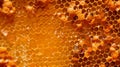 A bunch of honeycombs