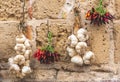 Bunch of hot chili peppers and fresh white garlic hanging on a stone wall Royalty Free Stock Photo