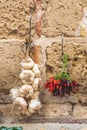 Bunch of hot chili peppers and fresh white garlic hanging on a stone wall Royalty Free Stock Photo