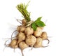 A bunch of Jicama isolated on white background. Royalty Free Stock Photo