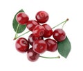 Bunch of juicy cherries on background, top view Royalty Free Stock Photo