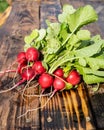 A bunch of juicy red radishes on a wooden background. Healthy organic vegetables. Fresh radishes on a wooden Board. Royalty Free Stock Photo