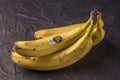 Bunch of juicy ripe yellow bananas with good costa rica bananas label on black textured background Royalty Free Stock Photo