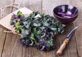 Bunch of kale on a rustic wooden background