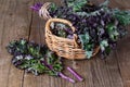 Bunch of kale on a wooden background