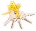 Bunch of keys Royalty Free Stock Photo