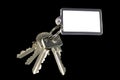 A bunch of keys with blank tag Royalty Free Stock Photo