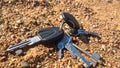 a bunch of keys lying on the sand. Loss