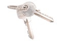 Bunch of keys. Silver house keys. Royalty Free Stock Photo