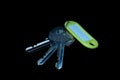 a bunch of keys with a yellow tag on a black background Royalty Free Stock Photo